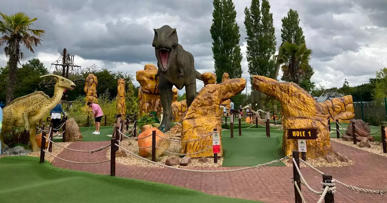 The family cafe where you can eat and play in the shadow of the dinosaurs