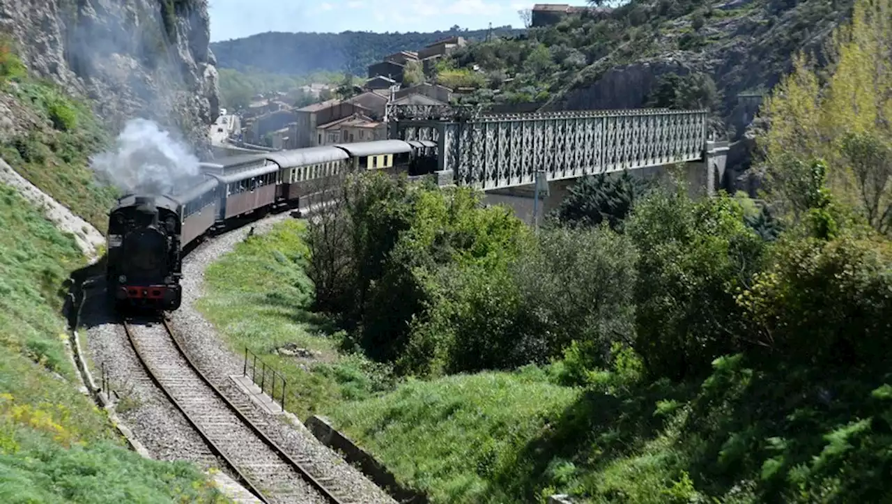 Le train à vapeur des Cévennes propose bientôt un voyage dans l'univers de Harry Potter