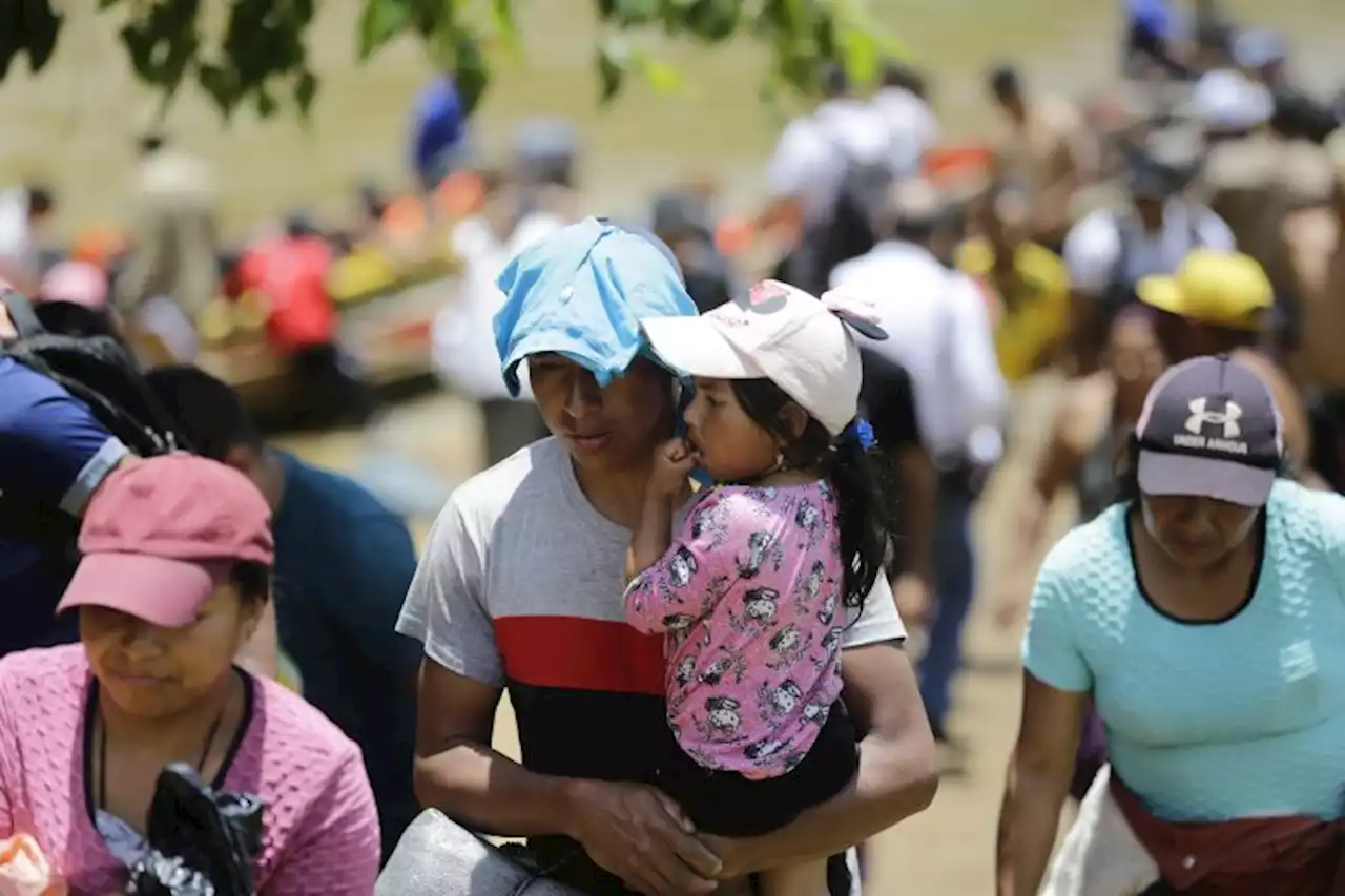 'No damos abasto': MSF alerta ayuda insuficiente por el aumento de migrantes en el Darién