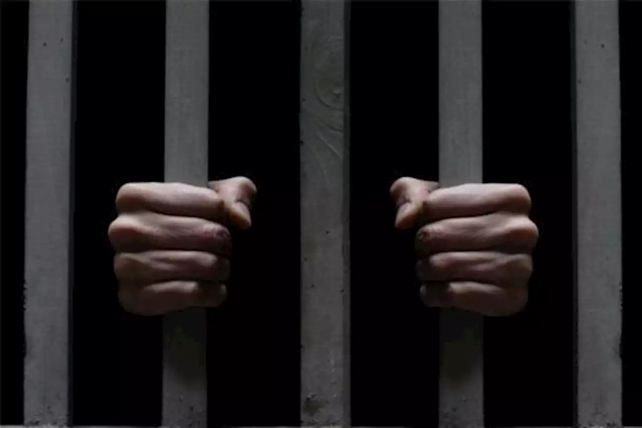 Man jailed one year for stealing ceiling fan, window net, others in Ogun