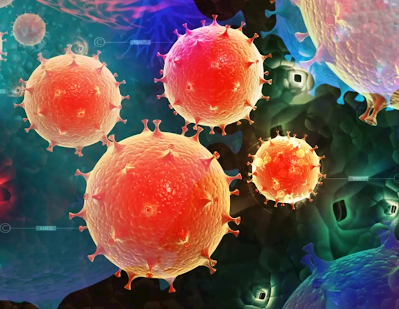 Study could explain why astronauts' T cells become less effective at fighting infection