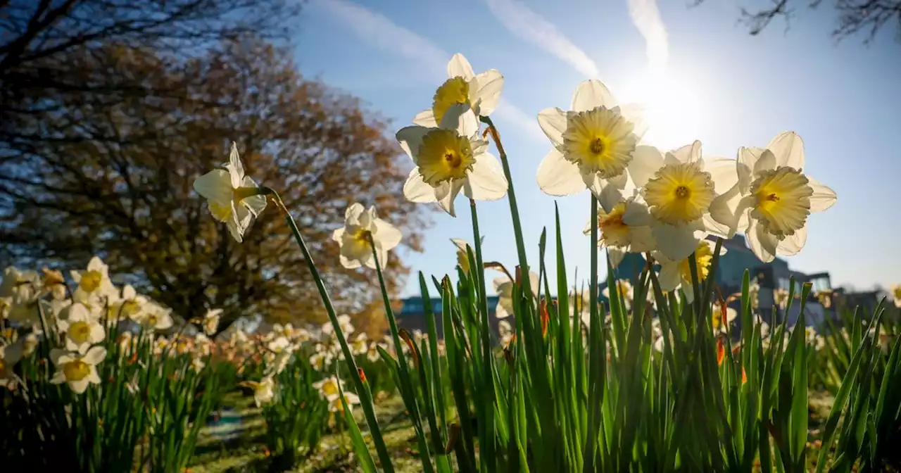 Midlands set for highs of 24C in potential final heatwave this summer