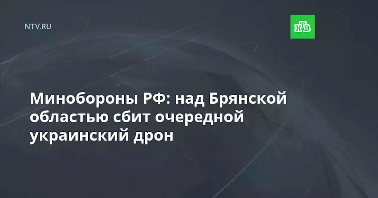 Минобороны РФ: над Брянской областью сбит очередной украинский дрон