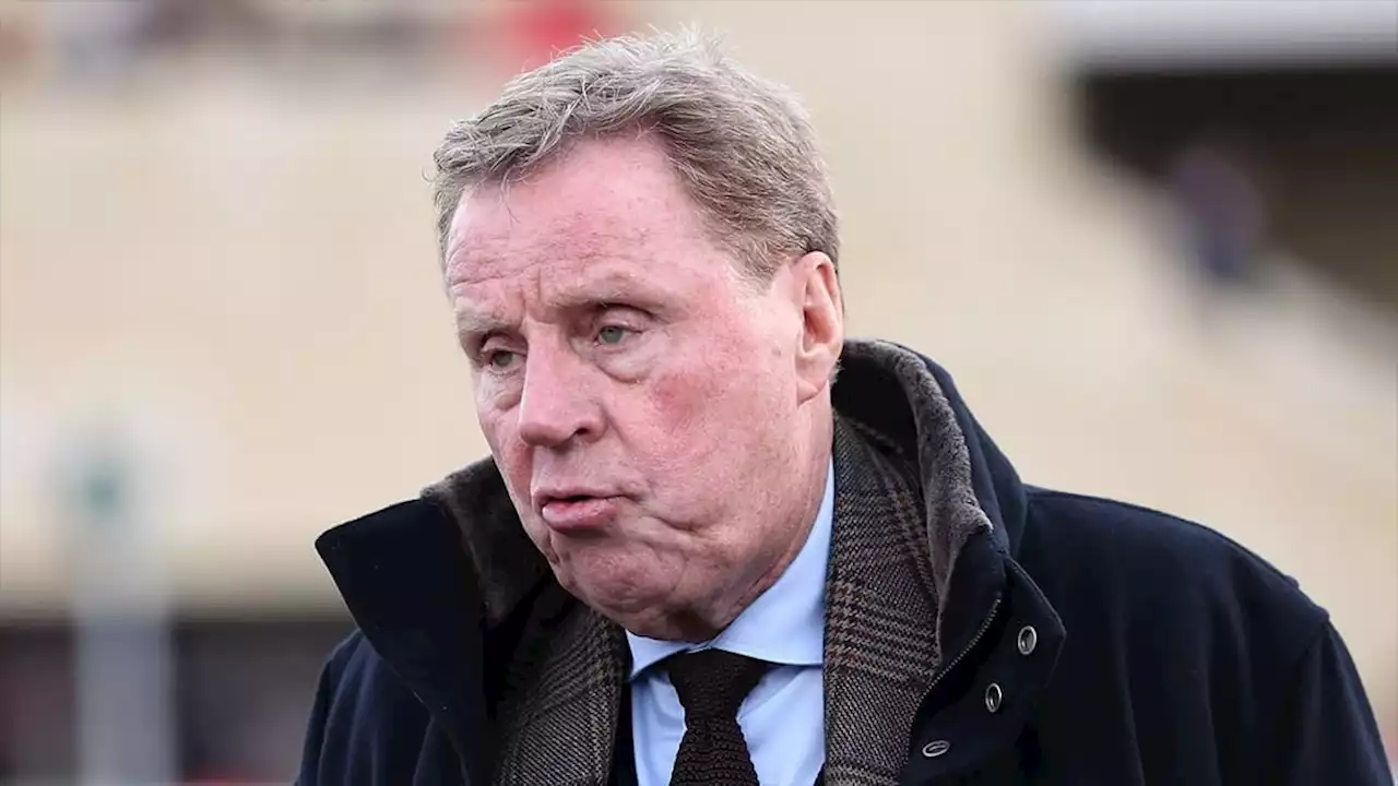 Harry Redknapp gives his verdict on Newcastle United