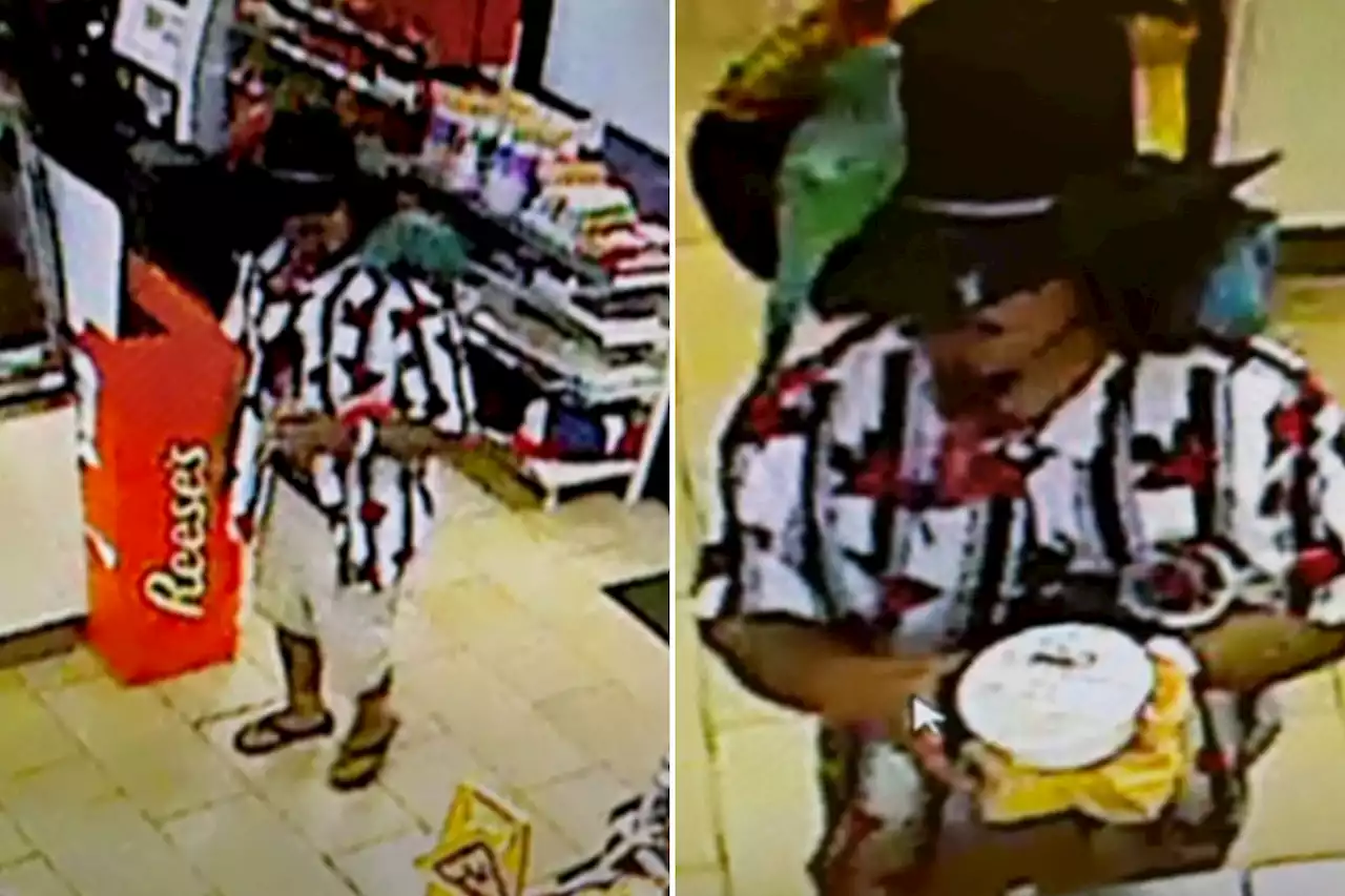 ‘Bird bandit’ brings 3 parrots along for knife-point robbery inside Virginia McDonald’s: cops