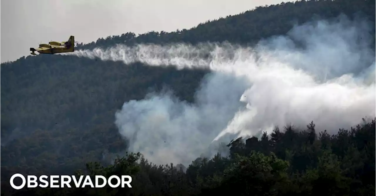 Grécia regista 122 incêndios com reacendimentos nas principais frentes