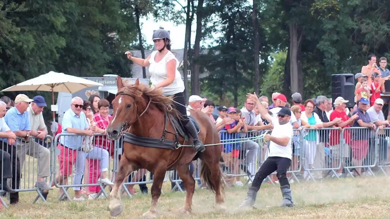 L’association valorise le cheval de trait : Trait-Courses déjà en selle pour fêter ses 30 ans