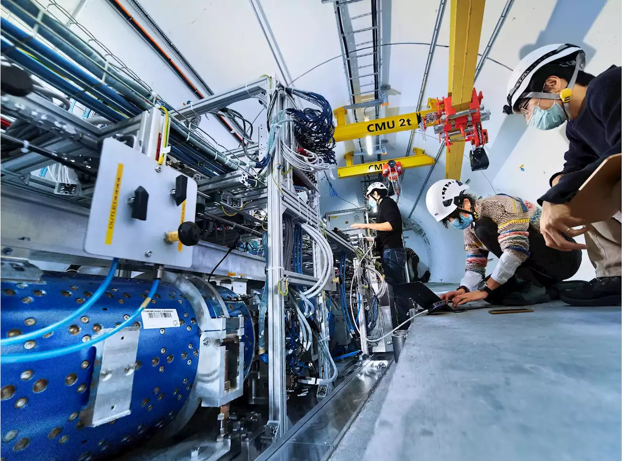 The first observation of neutrinos at CERN's Large Hadron Collider