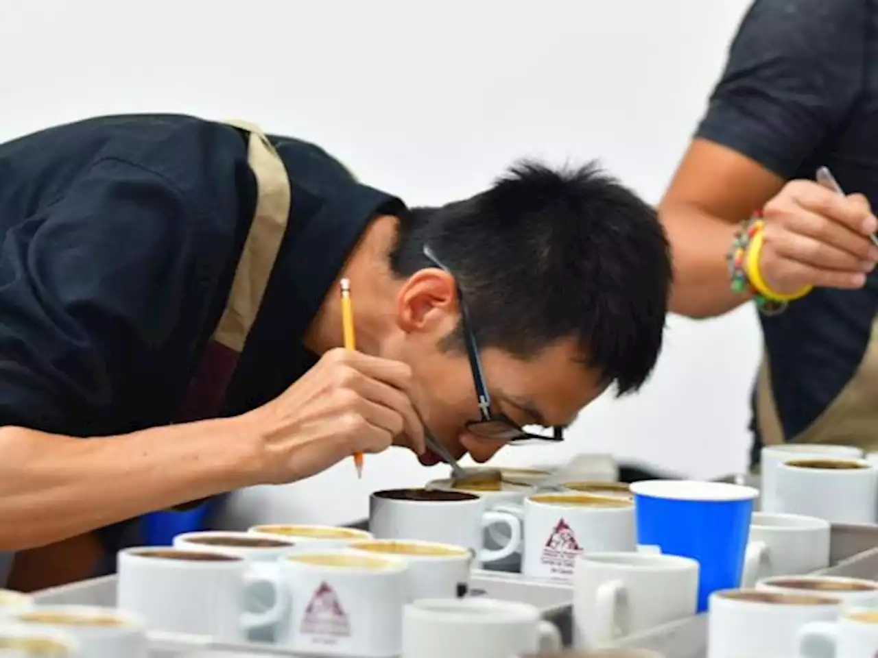 Chinos y japones, entre los compradores de subasta de café colombiano