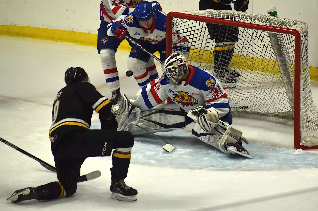 Cape Breton Eagles drop final pre-season game of August to Moncton Wildcats