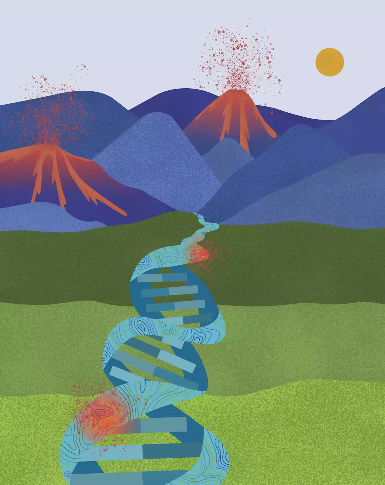 Unexpected Findings: Researchers Uncover Connection Between Human Genome Topography and Cancer Mutations