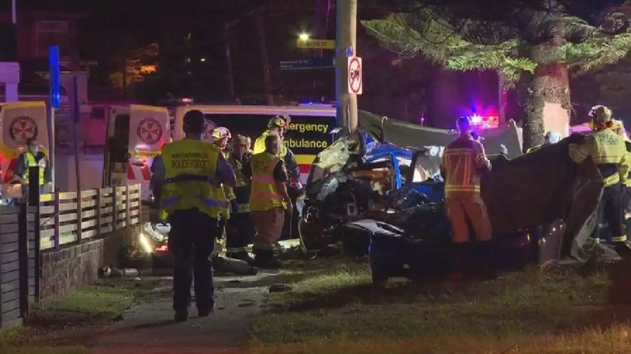 Two boys killed after car slams into tree in Sydney's south