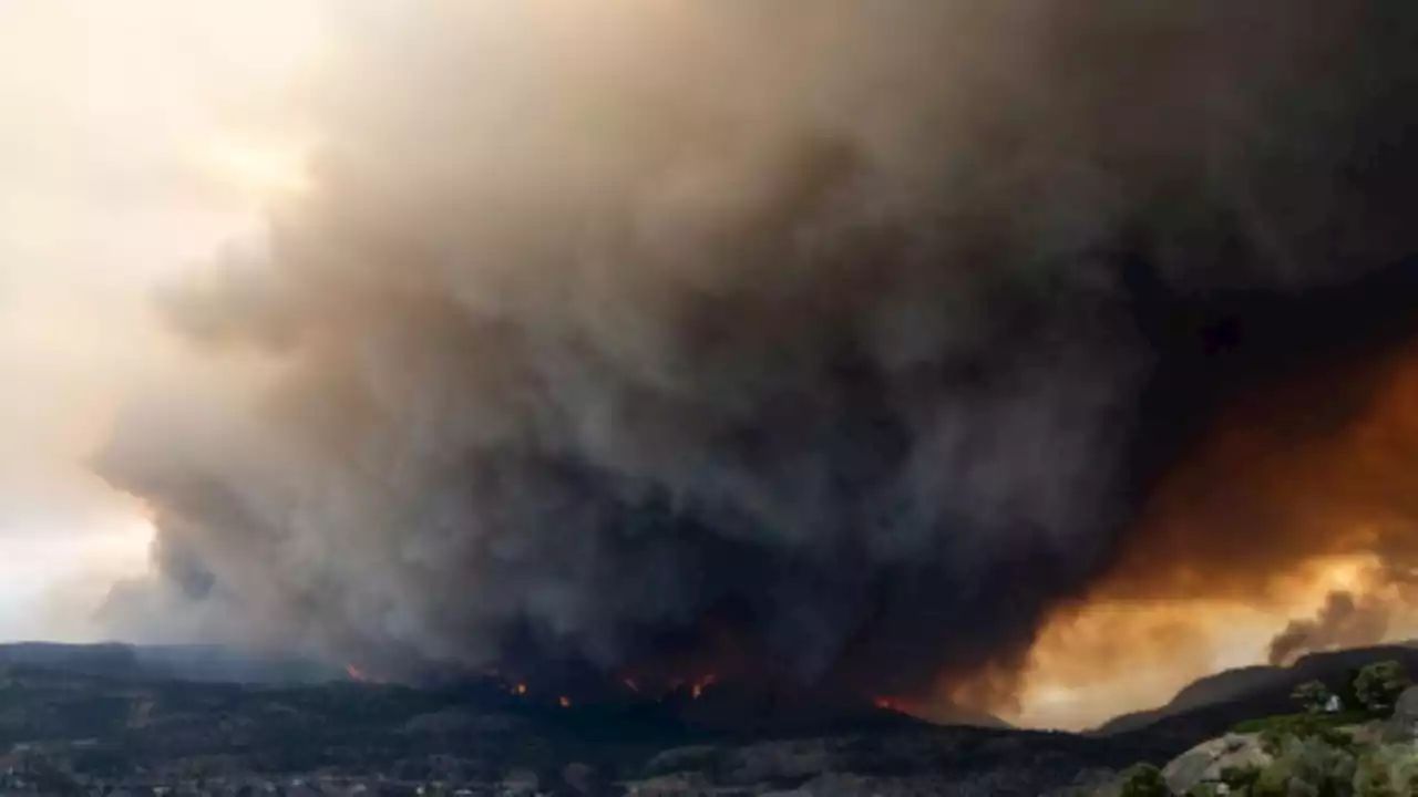 Meta wegen Nachrichten-Sperre inmitten der Waldbrände in Kanada in der Kritik