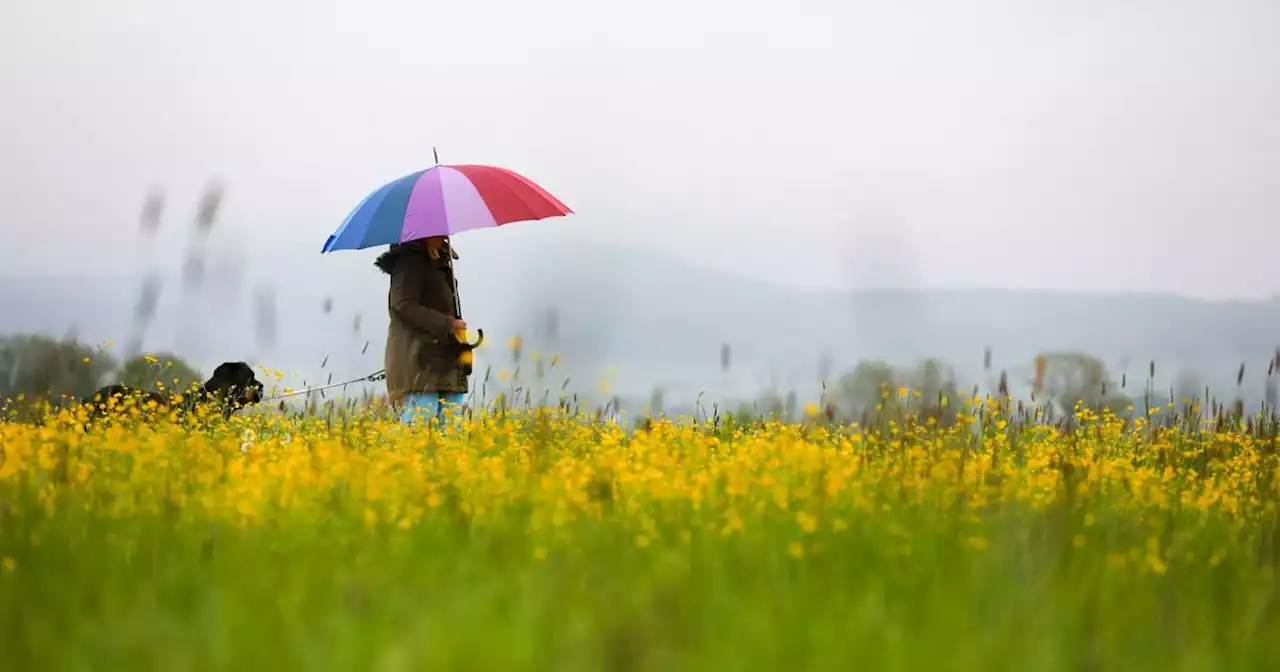 Wochenende: Wechselhaftes Wetter mit Mix aus Sonne, Wolken und Regen