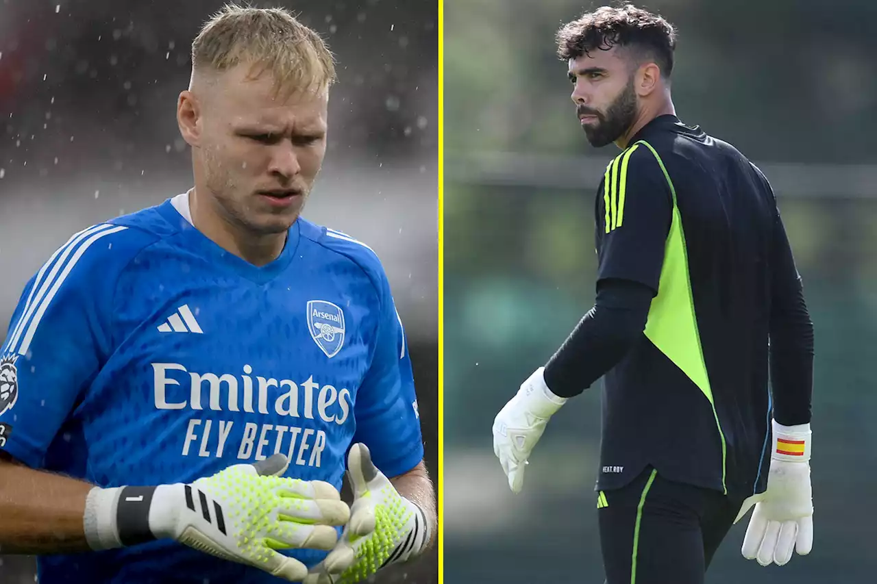 Arsenal's eye-opening clean sheet stat has fans calling for David Raya to start