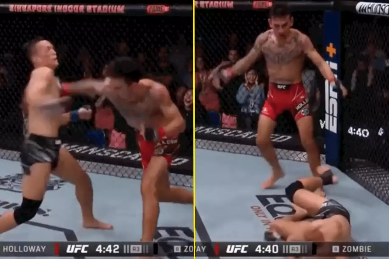 Conor McGregor reacts to stunning Max Holloway one-punch KO vs The Korean Zombie