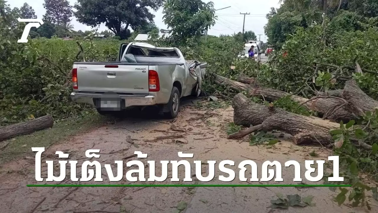 กระบะดวงแตกเจอต้นไม้ทับคาถนนที่ขอนแก่น ผัวตายเมียสาหัส เหตุคนตัดไม้ไม่ระวัง