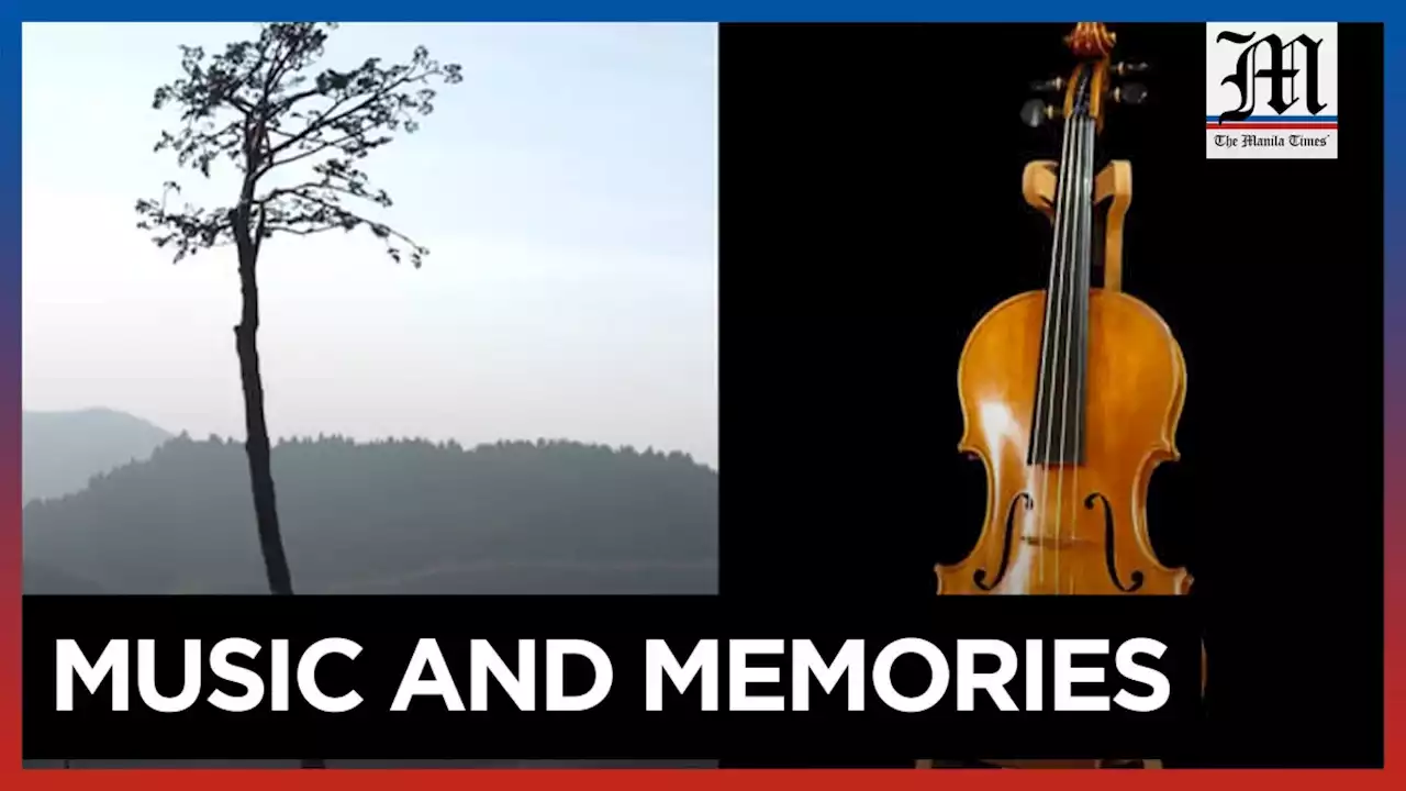 WATCH: Tsunami Violin − The sound of remembering