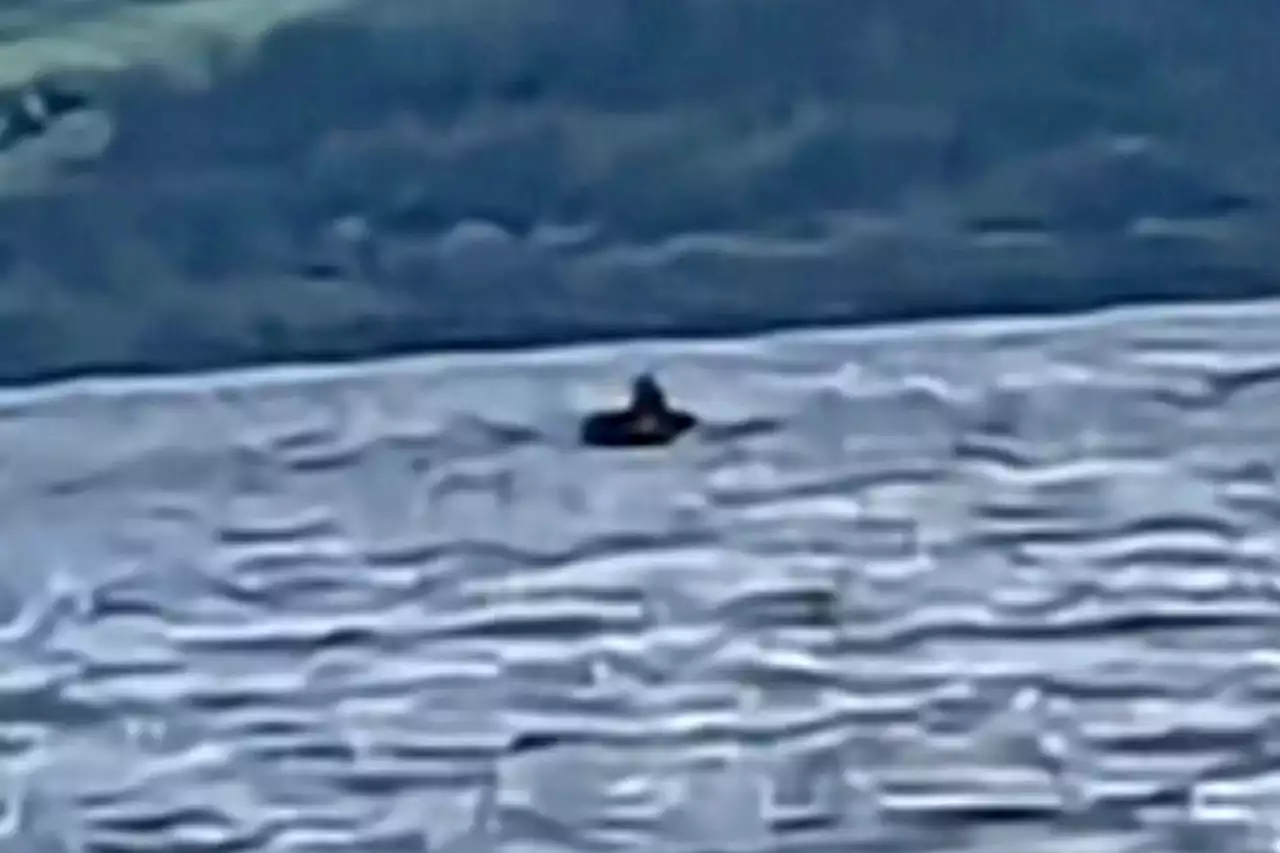 I saw Loch Ness Monster during family boat trip - I was genuinely shocked