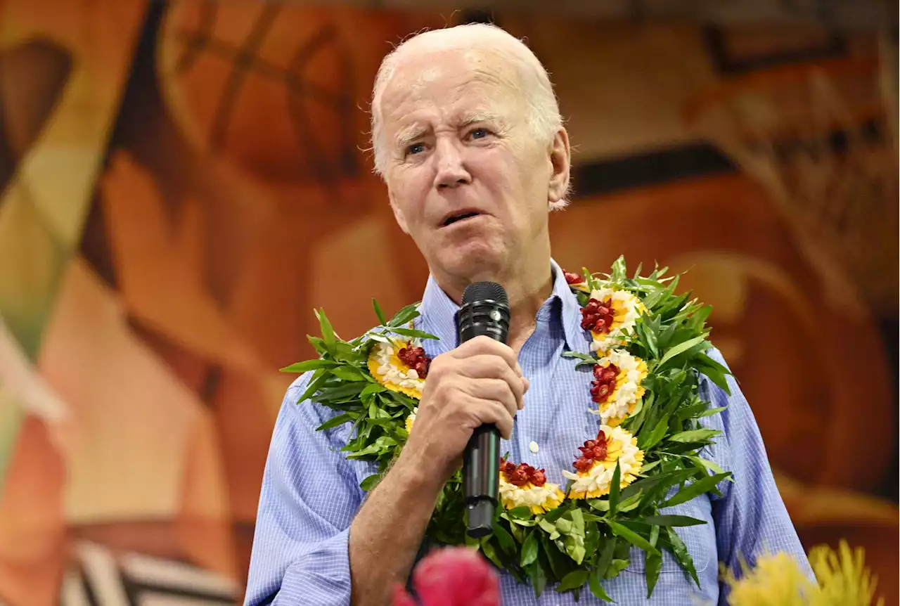 KINSELLA: Biden's misstep in Hawaii 'a good proof' nobody's perfect