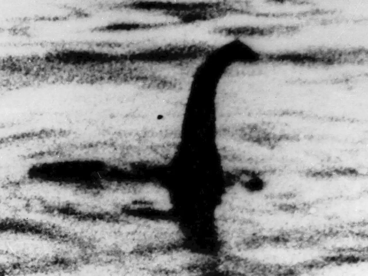 With drones and webcams, volunteer hunters join a new search for the mythical Loch Ness Monster