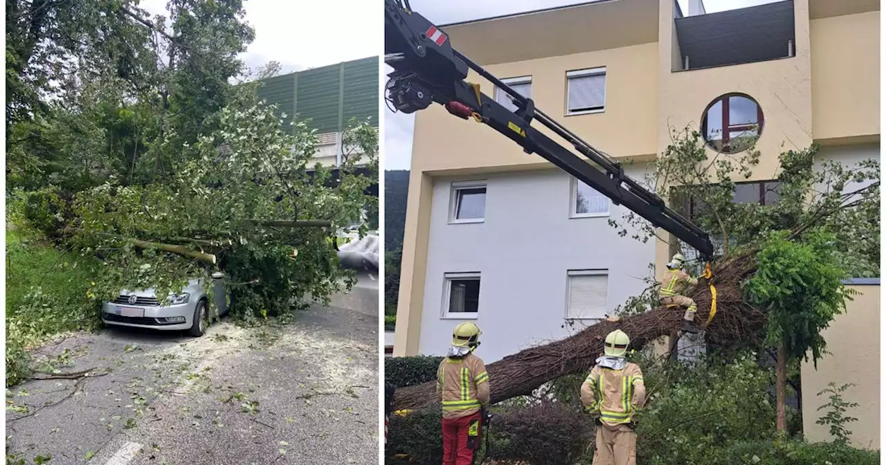 Unwetter zogen über Tirol, Sturm warf in Kufstein Bäume um | Tiroler Tageszeitung Online