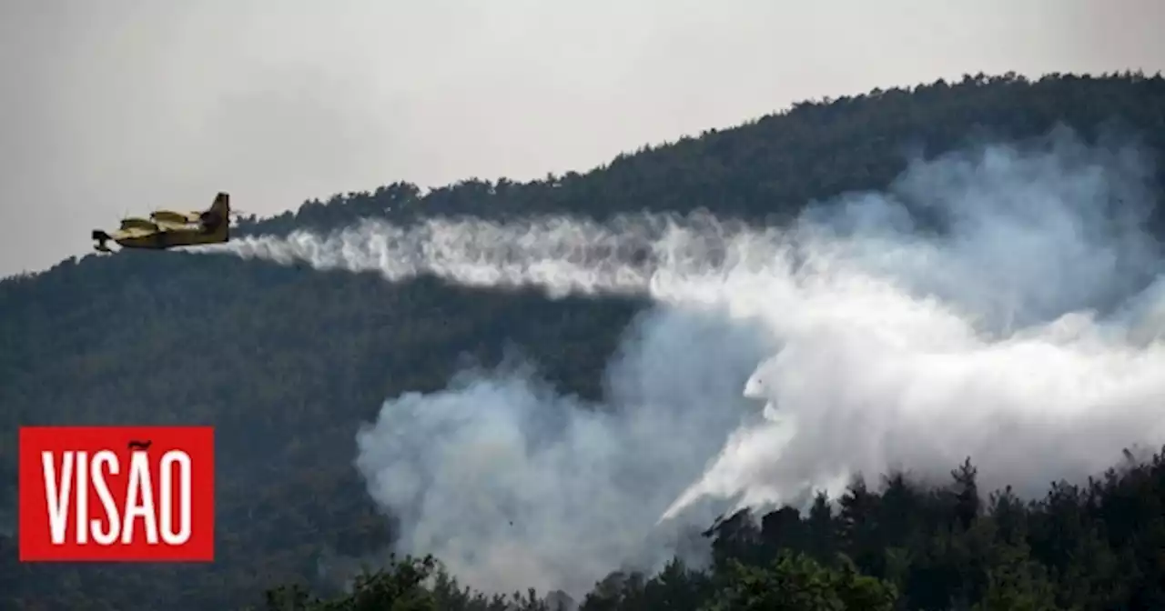 | Grécia regista 122 incêndios com reacendimentos nas principais frentes