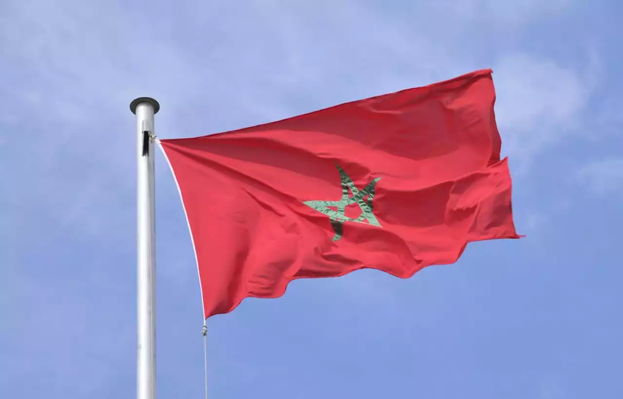 Une tête de sanglier découverte devant le consulat du Maroc en Corse