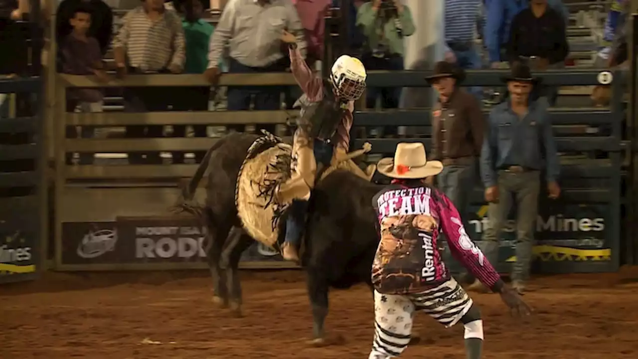 Bull riding in Australia is getting a short and stumpy takeover