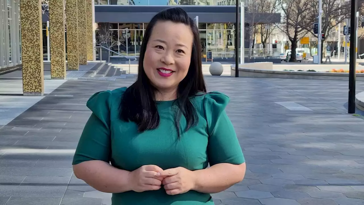 Canberra Liberals leader Elizabeth Lee will vote Yes in the Voice referendum, but her party is a different story