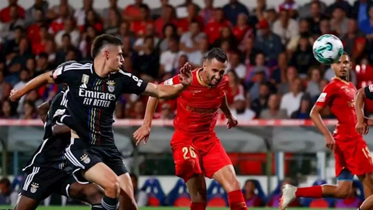 Benfica suou ante 'galo' que valorizou espetáculo até final (Liga)