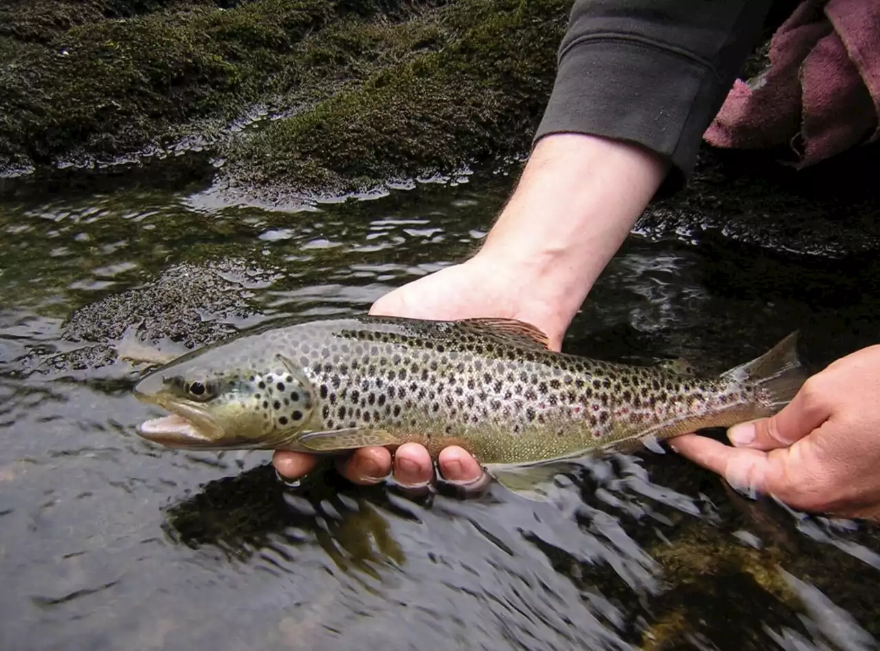 Quelles difficultés rencontrent les pêcheurs dans le Pays de Meaux ?