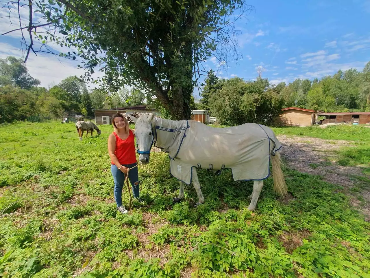 Seine-et-Marne : l'association animalière Cibou & Compagnie au bord de la fermeture