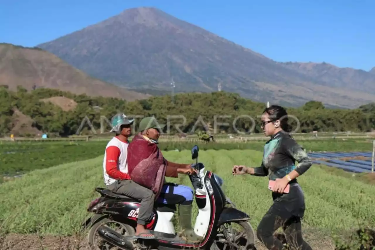 Stars & Rabbit kagum melihat keindahan Lombok