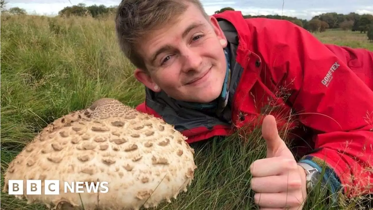 Carlisle forager Jordan McKeating finds food in city park