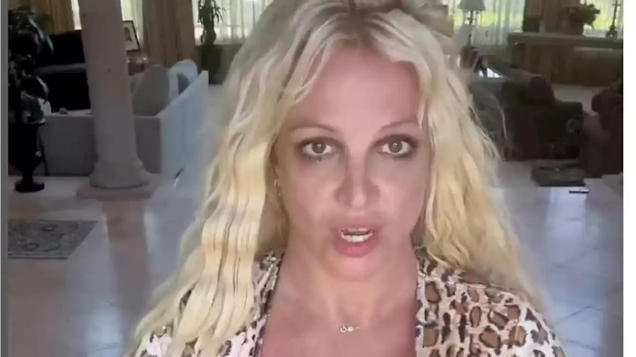 Britney bekommt Hilfe: Wie Spears den Single-Haushalt schmeißen will