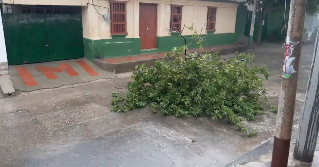 Tormenta eléctrica y fuertes vientos causan emergencias en al menos cinco municipios del Atlántico