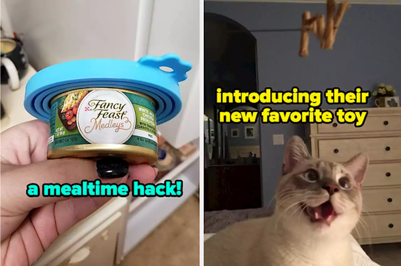 If You Don’t Own These 42 Cat Products Yet, You’ve Gotta Be Kitten Me