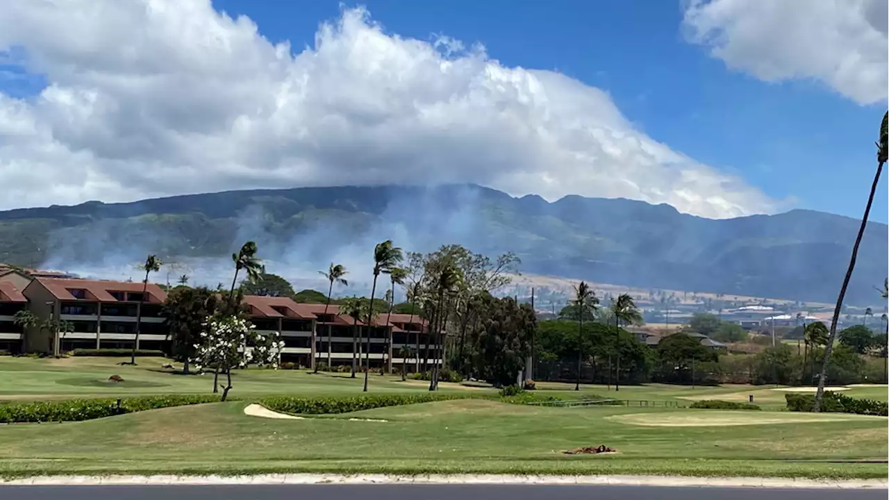 Area of Hawaii evacuated due to brush fire near site of deadly Maui blaze