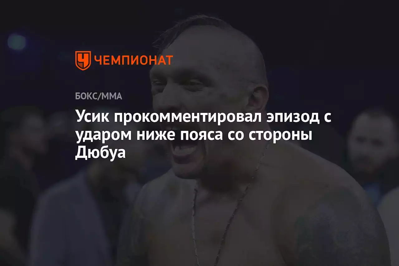 Усик прокомментировал эпизод с ударом ниже пояса со стороны Дюбуа