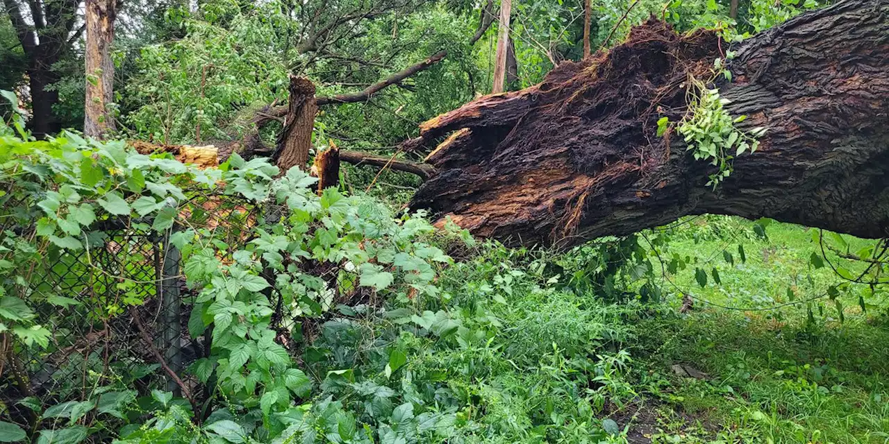 Cleveland residents still recovering after EF-1 tornado tears through the city