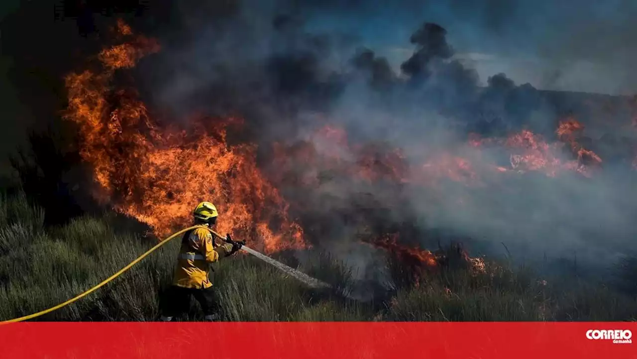 Cerca de 90 concelhos do Interior Norte e Centro e Algarve em perigo máximo de incêndio