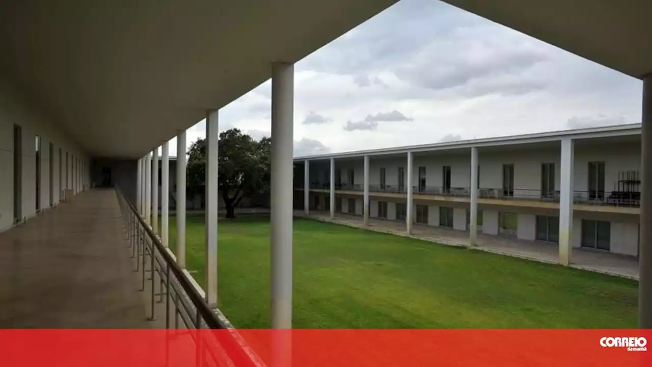 Politécnico de Setúbal coloca quase mil novos alunos e regista 'ligeira subida'