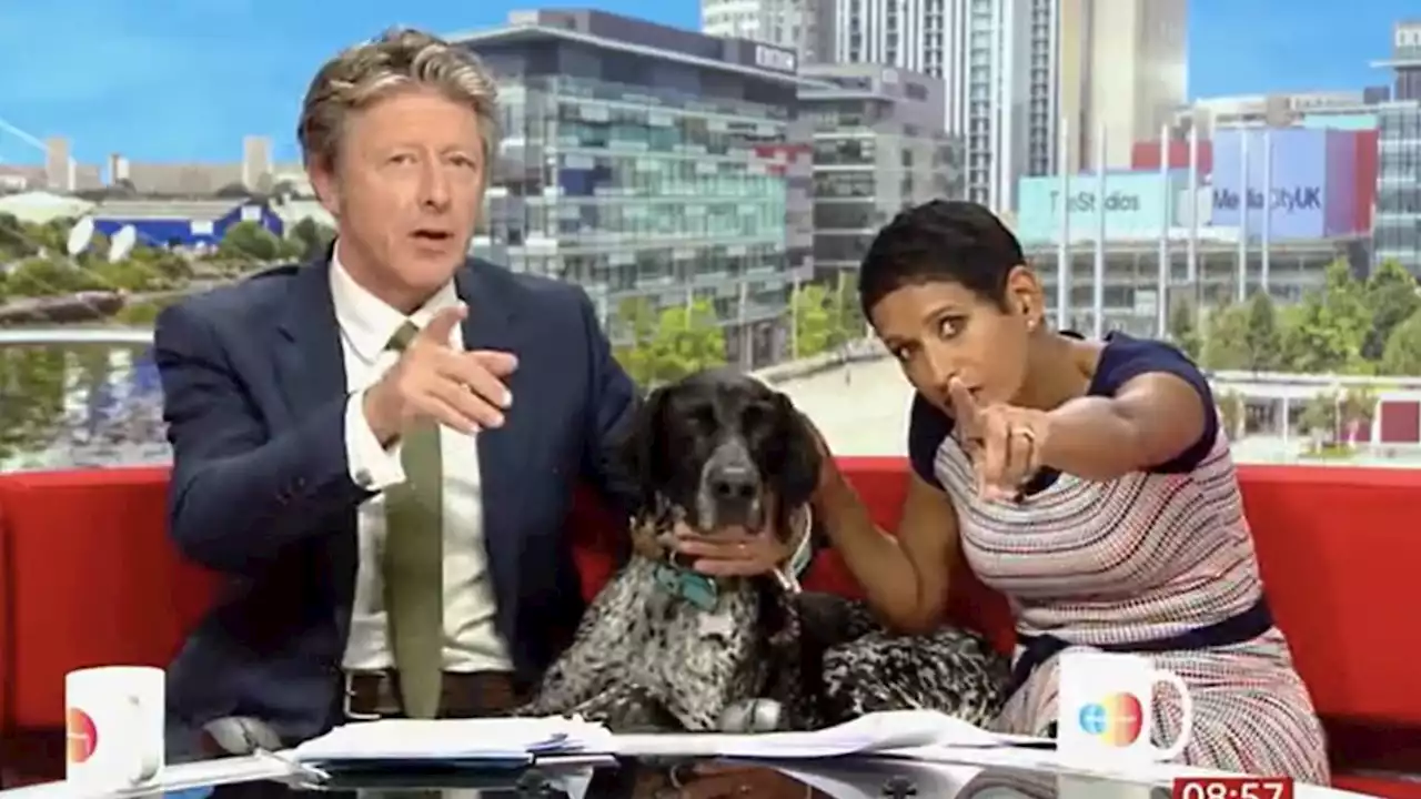 BBC Breakfast's Naga Munchetty and Charlie Stayt taken by surprise