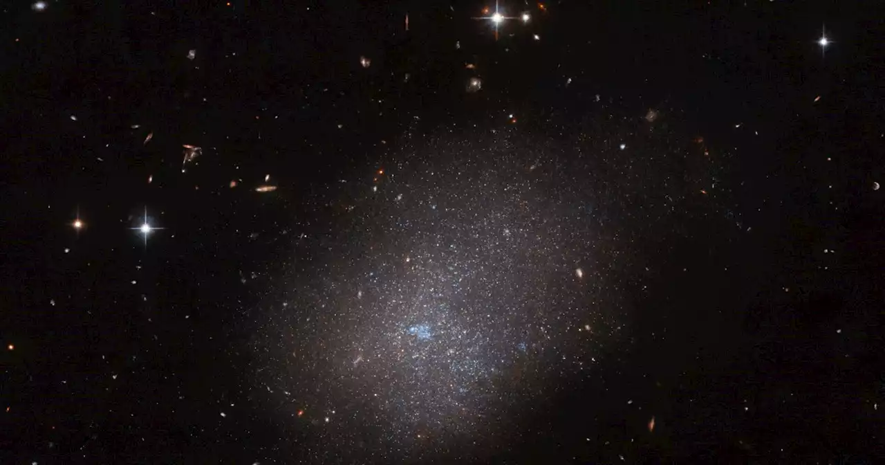 Hubble captures a sparkling cloud galaxy located next door