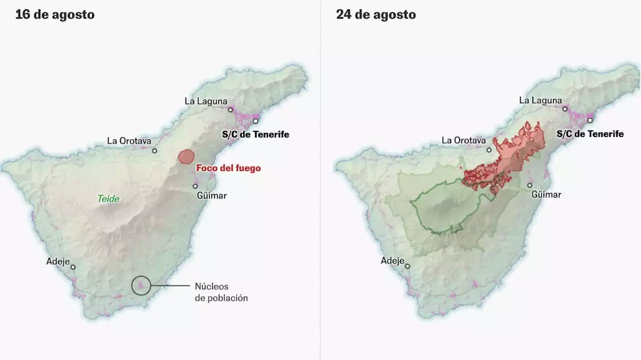 ¿Por qué ha ardido tan rápido el incendio de Tenerife?