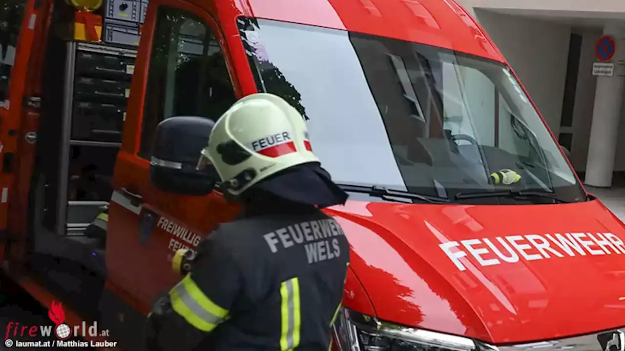 Oö: Feuerwehr schnitt Altenheim-Bewohnerin nach Wespenstich in Wels Ring vom Finger