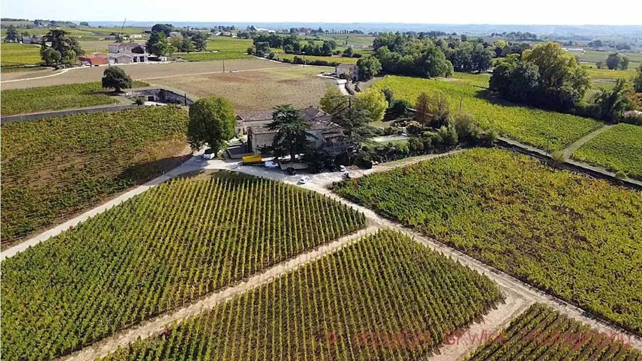 Château Franc Mayne, A Revival Of An Already Magnificent Saint Emilion Grand Cru Classé