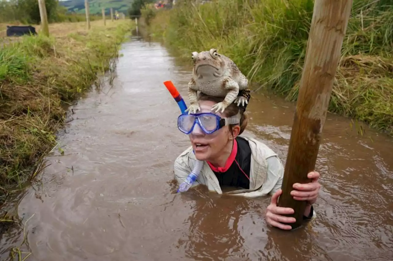 Flippering marvellous: Bog snorkelling fans test endurance at world champs