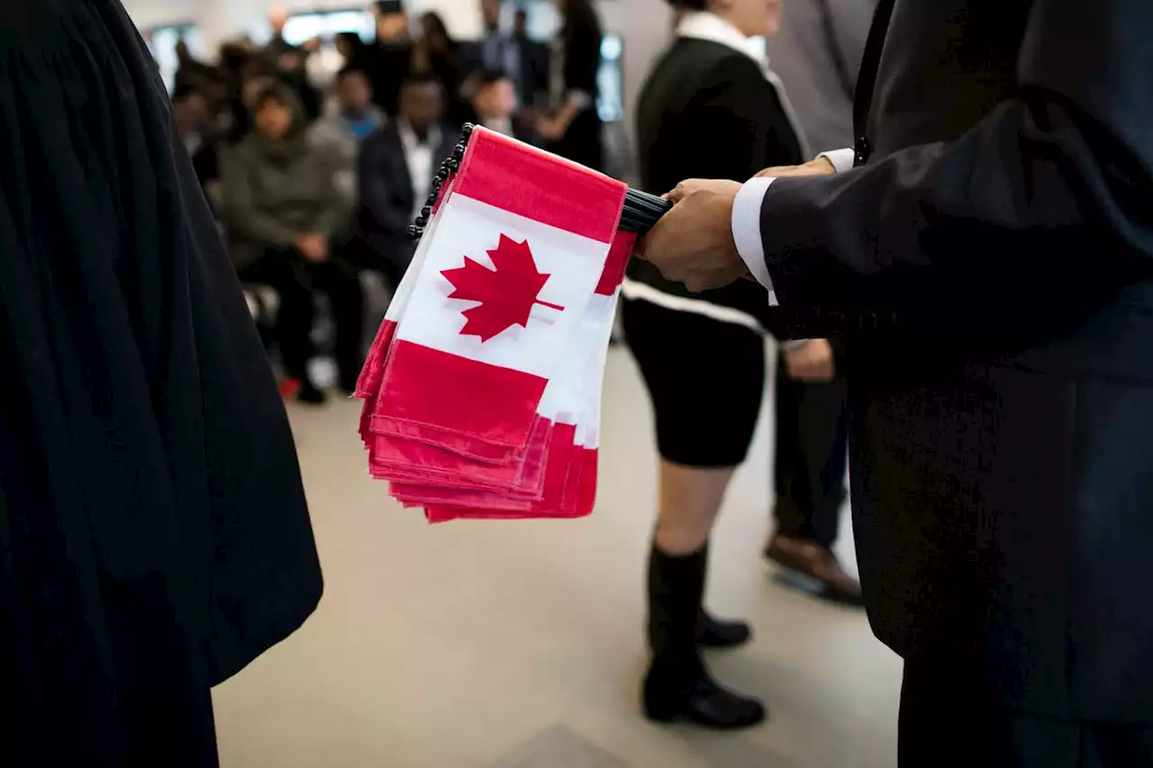 Opinion: Canada’s underemployed economic immigrants: How to stop wasting talent